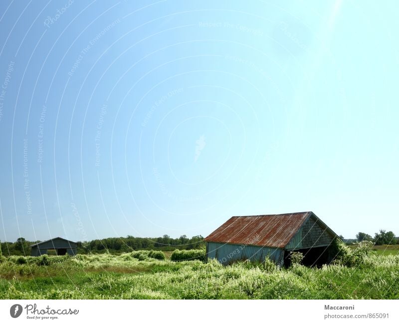 sinking Environment Nature Landscape Cloudless sky Weather Beautiful weather Plant Bushes Village Deserted House (Residential Structure) Hut Facade Old