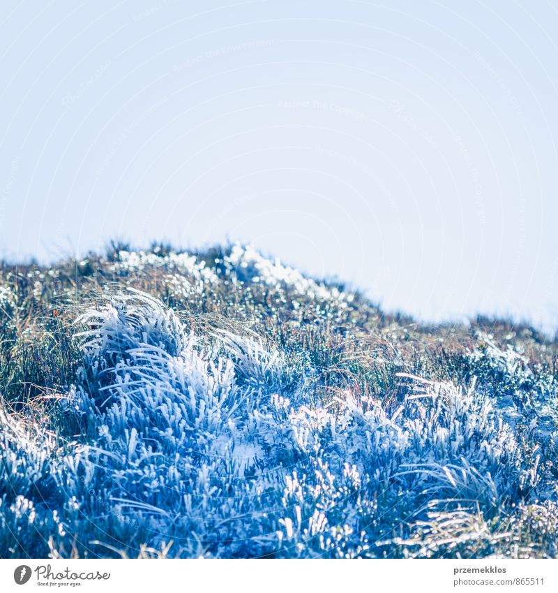 Frozen grass on autumn day in the mountains Freedom Winter Snow Mountain Nature Landscape Plant Sky Autumn Grass Park Meadow Beautiful Clean Blue background
