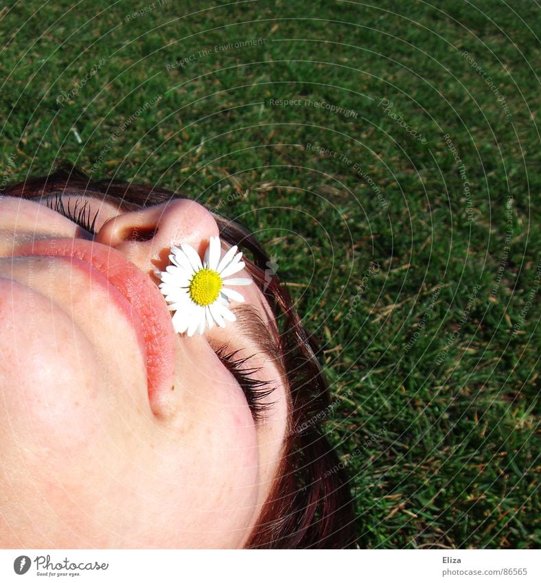 Summer! Spring Sunlight Daisy Yellow Flower Lips Chin Closed Nostril Tip of the nose Meadow Park Grass Sneezing Titillation Lie Sunbathing Woman Closed eyes