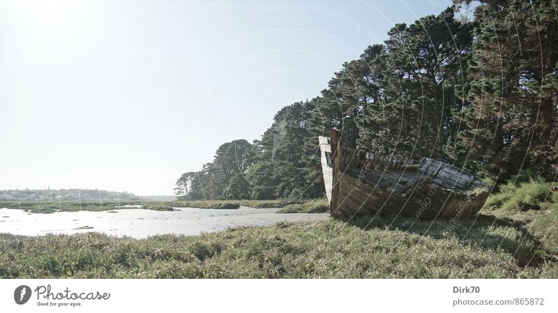 Last resting place Fishery Cloudless sky Grass Moss Algae Forest Coast Beach Bay Ocean Atlantic Ocean Le conquet Navigation Sailing ship Wreck Hull Wood Old