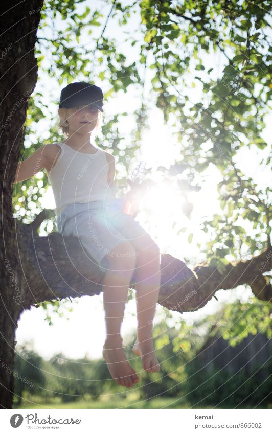 Boy with cap on a tree against the light Climbing Adventure Human being Masculine Boy (child) Infancy Life Body 1 3 - 8 years Child Nature Sunlight Summer