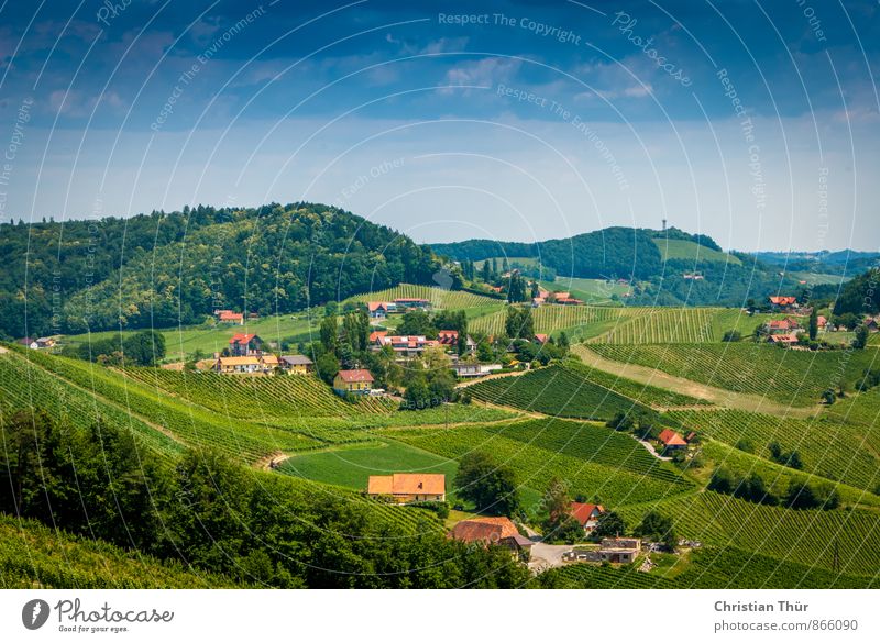 Gamlitz / Southern Styria Harmonious Well-being Contentment Senses Relaxation Calm Meditation Leisure and hobbies Vacation & Travel Tourism Summer