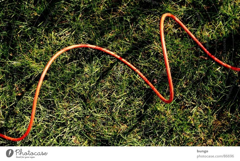 Cable on grass Grass Meadow Summer Spring Blade of grass Subsoil Electricity Arches National Park Jump Connection Communicate bow attach blades of grass Line