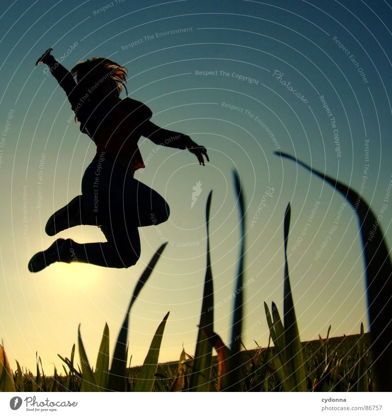high up Hop Spring Meadow Grass Green Style Sunset Posture Blade of grass Worm's-eye view Woman Emotions Human being silouette Flying Joy Nature Landscape