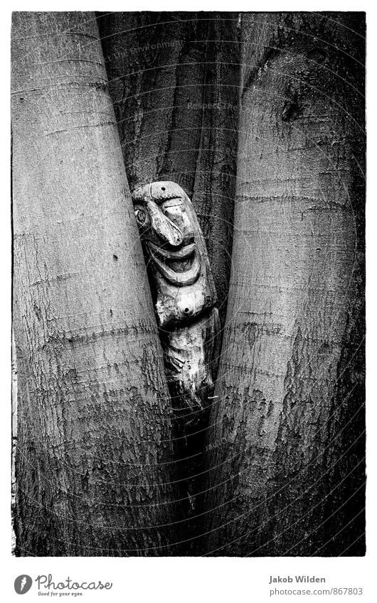 A little man stands in the forest Nature Plant Tree Park Forest Wood Sign Idyll Black & white photo Exterior shot Experimental Abstract Structures and shapes