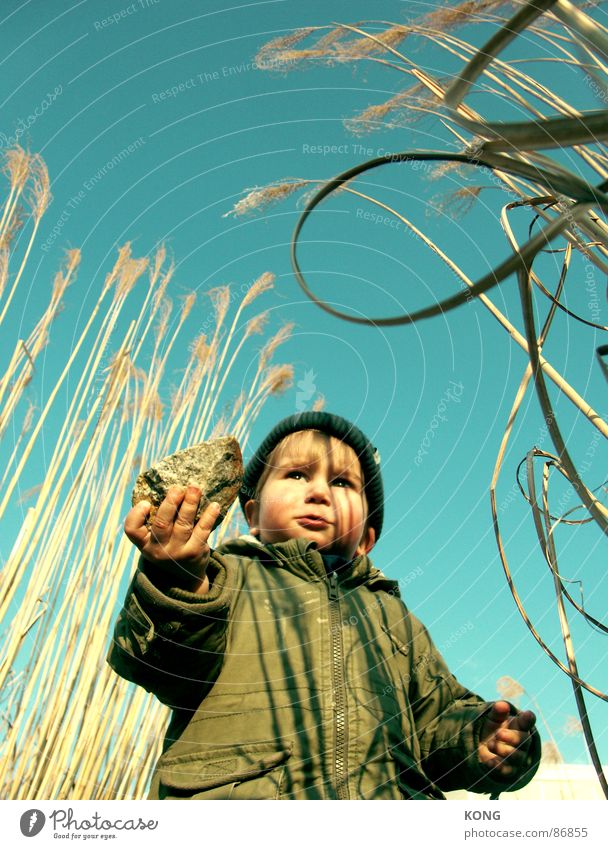 training for may 1st Toddler Portrait photograph Parka Natural growth Offspring Joy stone-throw Stone Human being Sky Marsh grass Character Exterior shot