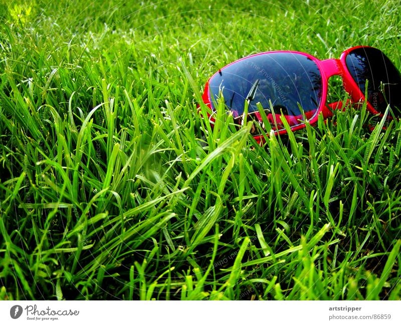 redrosefornose II Multicoloured Sunglasses Eyeglasses Summer Physics Sunbathing Boredom Leisure and hobbies Meadow Vista Grass Relaxation Vacation & Travel