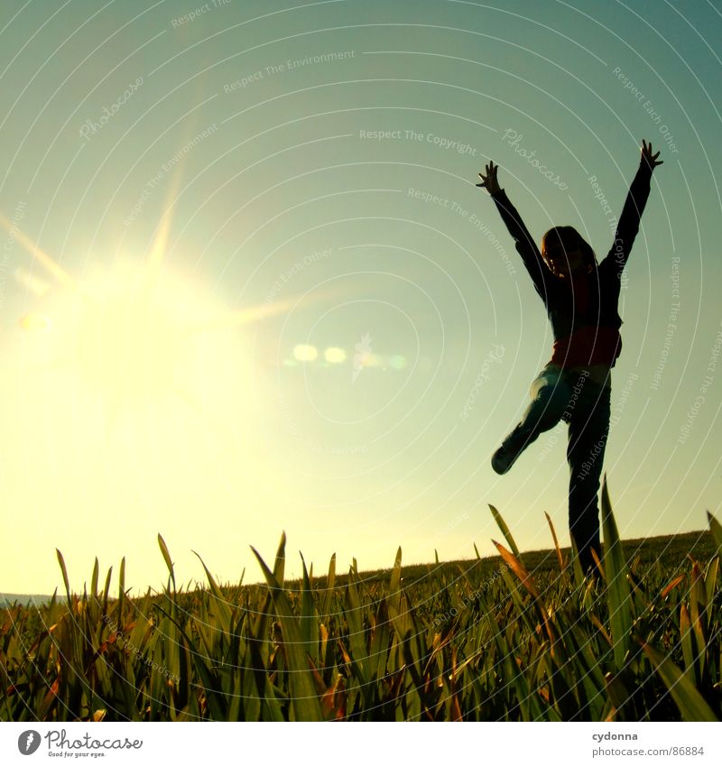 High up III Hop Spring Meadow Grass Green Style Sunset Posture Blade of grass Worm's-eye view Woman Sunbeam Emotions Human being Flying Joy Nature Landscape
