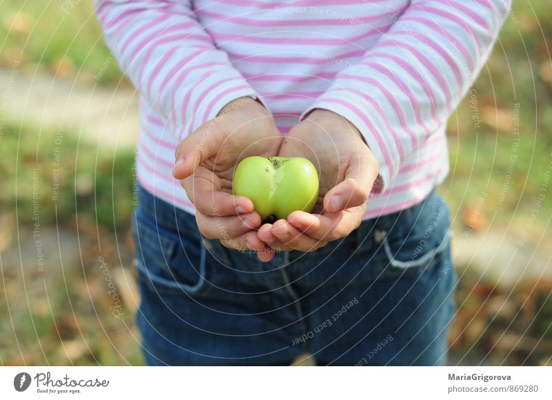 Child holding green apple. Hearth shape Food Fruit Apple Organic produce Lifestyle Beautiful Garden Human being Girl Body Hand 1 Nature Elements Autumn Diet