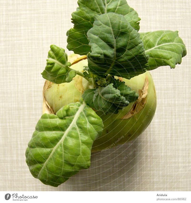kohlrabi no.1 Kohlrabi Healthy Green Table Kitchen Nutrition Life Verdant Vegetable Vegetarian diet in shape