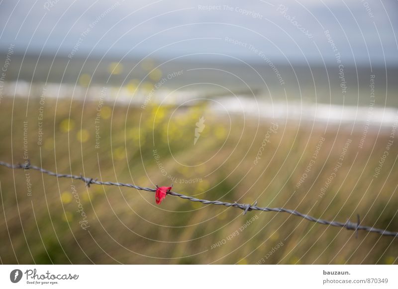 leftovers. Tourism Trip Ocean Sky Plant Grass Barbed wire Metal Line Red Safety Colour photo Exterior shot Close-up Detail Deserted Copy Space left