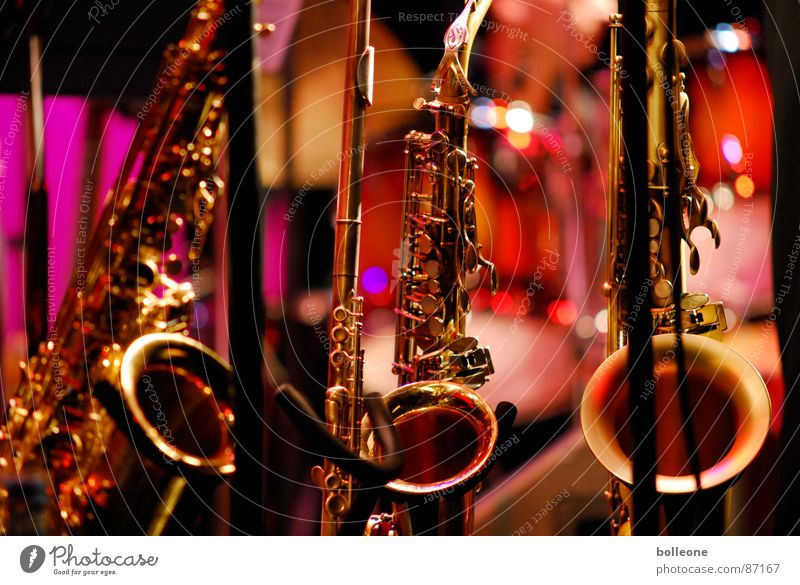 trio Musical instrument Saxophone Jazz Concert Art Make music Prayer Light Moody Sound Tone Culture Joy of playing Wind instrument Plucking Playing