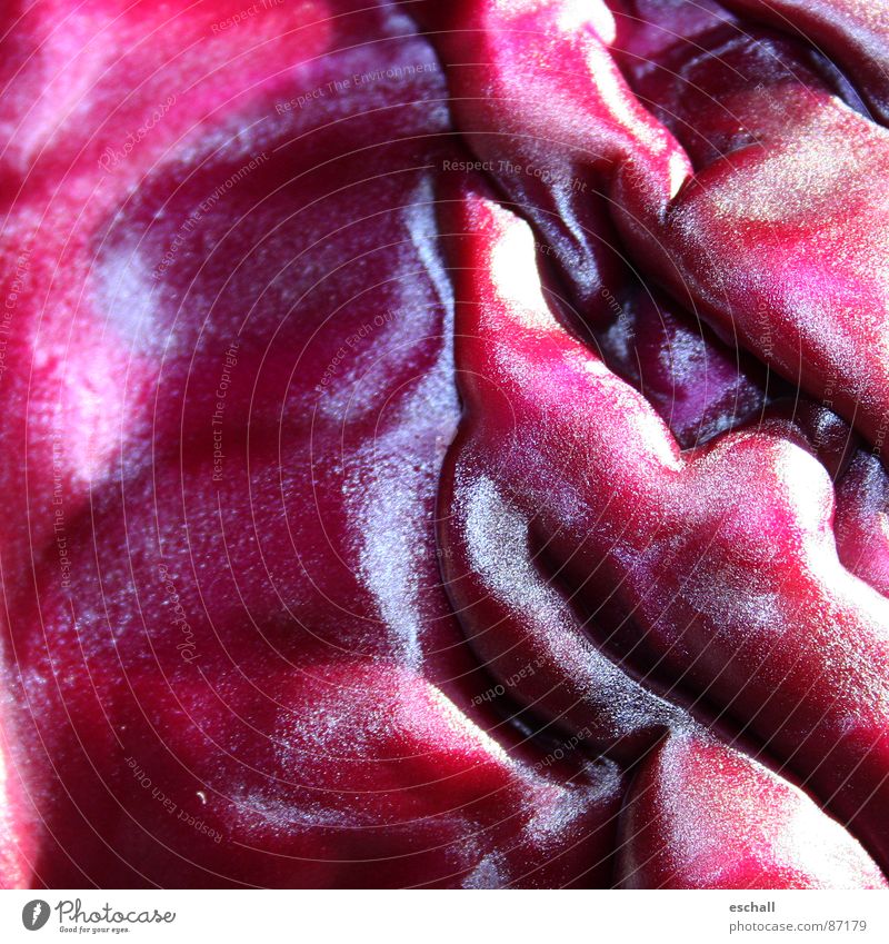 Brassica I Colour photo Macro (Extreme close-up) Pattern Structures and shapes Reflection Vegetable Waves Kitchen Plant Agricultural crop Violet Red Red cabbage