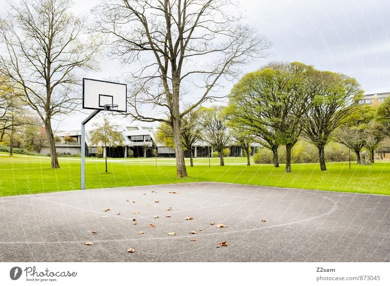GAME R A U U M Leisure and hobbies Playing Sporting Complex basketball court Basketball basket Landscape Autumn Tree Grass Bushes Park Meadow Town Simple Fresh