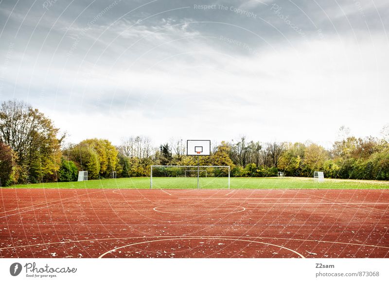 GAME R A U U M Leisure and hobbies Sports Football pitch Basketball Basketball basket Goal Sporting Complex Sporting grounds Nature Landscape Sky Summer