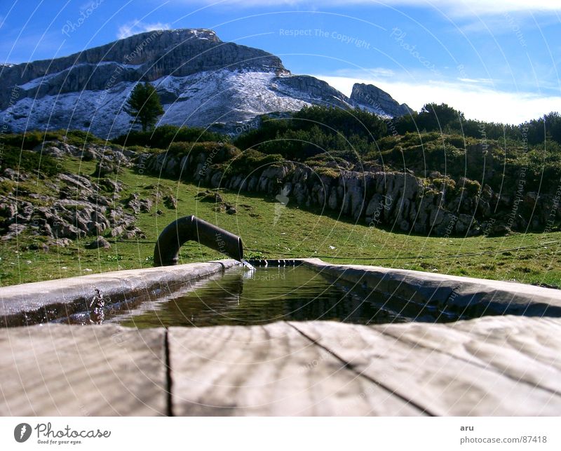 refreshment Trough Federal State of Tyrol Alpine pasture Mountain alpine refreshment Water Nature Level