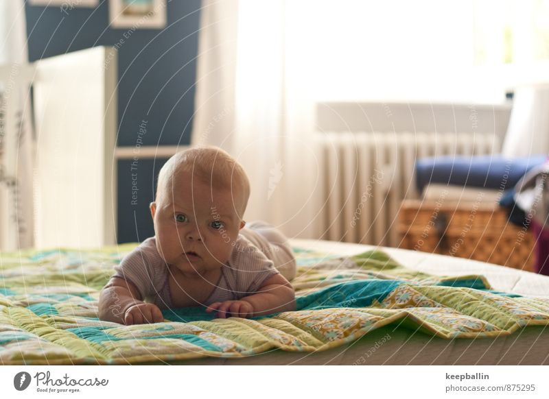 Baby on the bed Human being Feminine Infancy Body Head Face 1 0 - 12 months Crawl Lie Discover Colour photo Interior shot Copy Space right Day Light