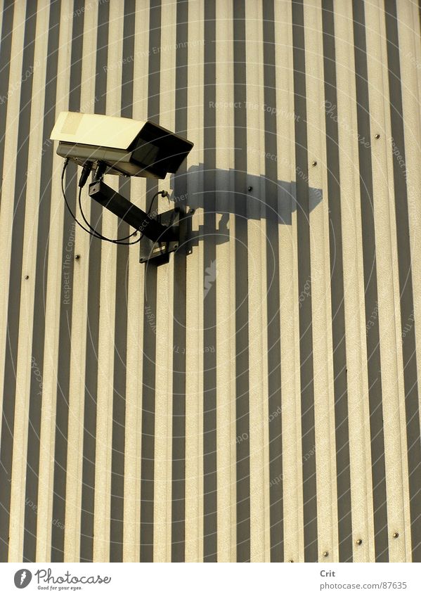 big brother Lake Illegal Safety camera Police state alone watch eye robot Wall (barrier)