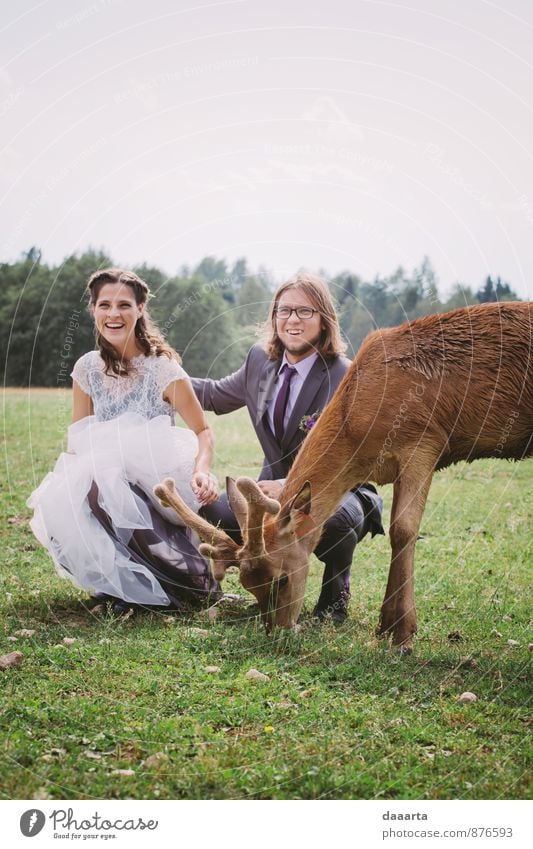 friendship Lifestyle Elegant Style Joy Leisure and hobbies Feasts & Celebrations Flirt Wedding Partner Animal Wild animal Deer Smiling Laughter Brash