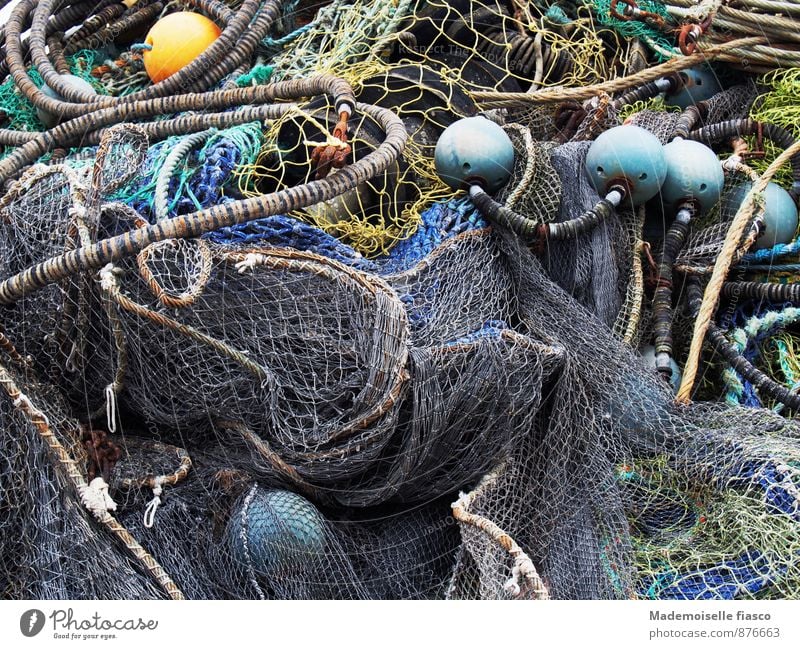 Fishing net on land Fishing (Angle) Rope Net Blue Yellow Gray Green Fischeln Colour photo Exterior shot