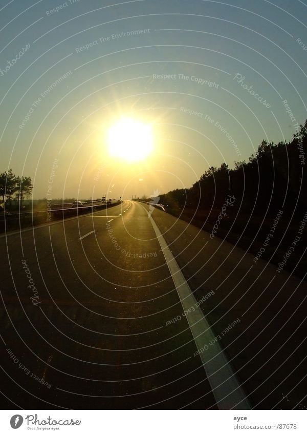 towards the sun Highway Back-light Sunset South Asphalt Pavement Approach road Planet Freeway Far-off places Vacation & Travel Main street Shadow Country road