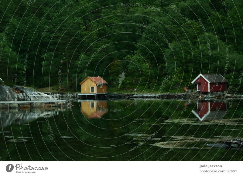 loneliness House (Residential Structure) Forest Idyll Mystic Norway Loneliness Think Romance Relaxation Terrace Chair Water Landscape strange