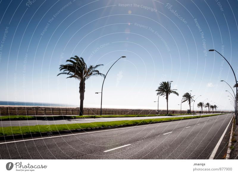 Road to Morro Jable Vacation & Travel Trip Adventure Far-off places Freedom Nature Cloudless sky Horizon Summer Palm tree Transport Traffic infrastructure