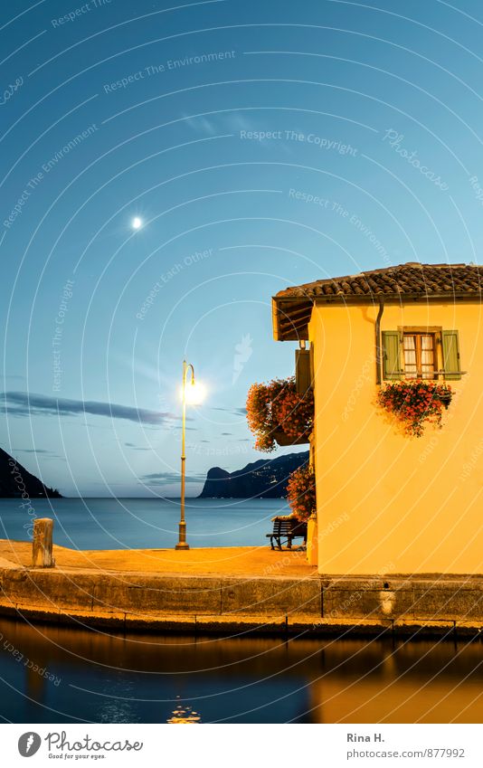 torbole 1 Human being Sky Night sky Horizon Moon Summer Beautiful weather Lake House (Residential Structure) Window Inland navigation Blue Yellow