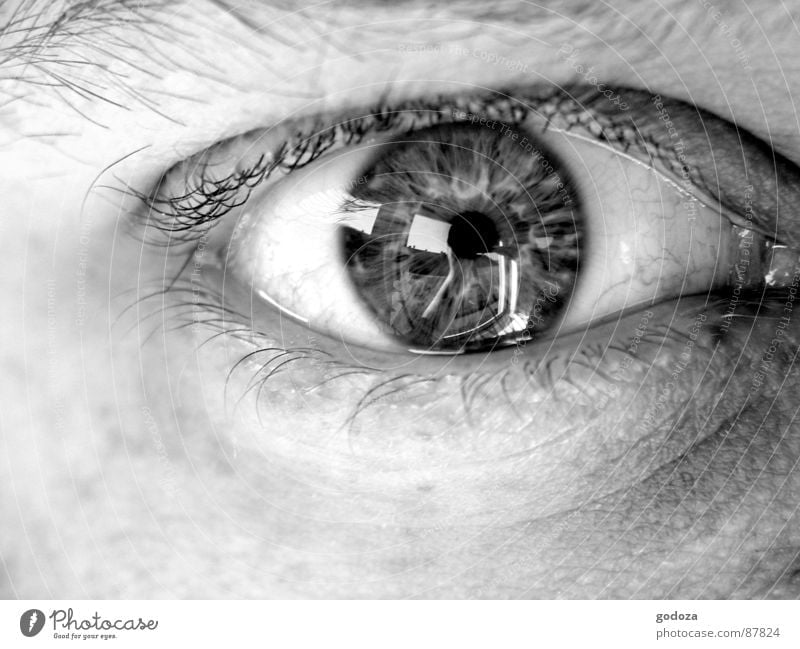 Moment 1 Pupil Emotions Eyes Eyewitness Audience Tack Fix Insight Macro (Extreme close-up) Close-up Iris Black & white photo take a look in a feast for the eyes