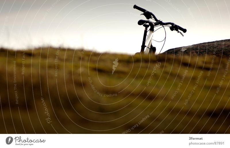übernBerg Meander Bicycle Mountain bike Meadow Soft focus lens Dark Cold Damp Vacation & Travel Cycling tour Half Wet Fog Drizzle Mountain meadow Grass Dank