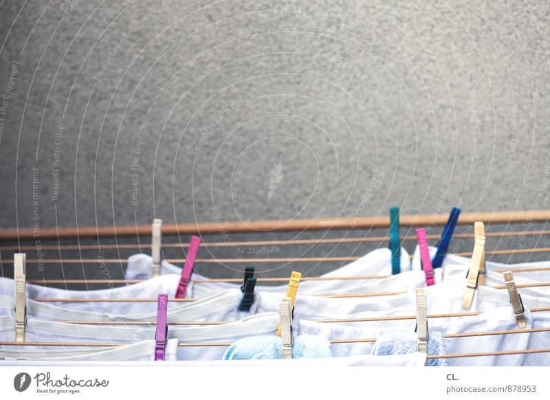 washing day Living or residing Clothesline Laundry Washing day Clothes peg Clean Multicoloured Cleanliness Colour photo Deserted Copy Space top Day