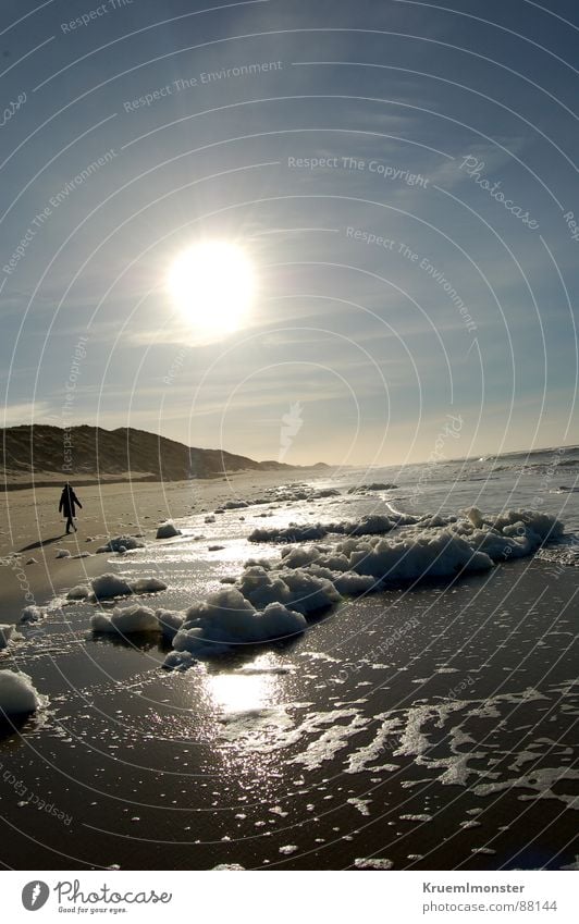A winter day Sylt Beach Ocean Earth Sand Human being empty Sun sunshine sea
