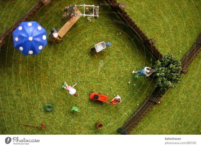 Allotment garden2 Grass Garden fence Leisure and hobbies Sunshade Lawnmower Synthetic Doll Pattern Placed artificial