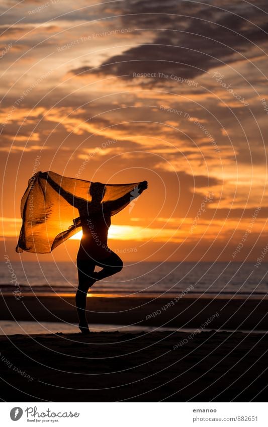 silhouette sunset dance Lifestyle Style Joy Well-being Contentment Leisure and hobbies Vacation & Travel Far-off places Freedom Summer Summer vacation Sun Beach