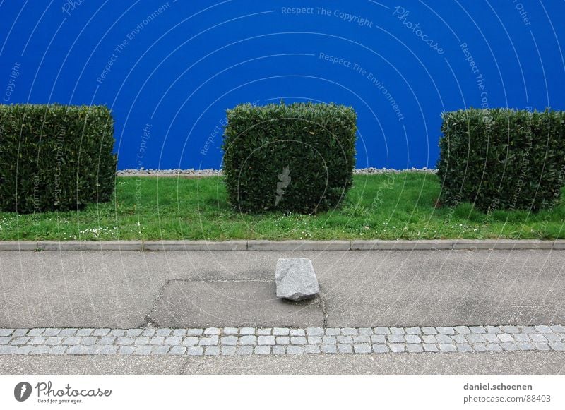 Order must be Cyan Blue Green Front garden Wall (building) Plaster Abstract Background picture Bushes Arrangement Tidy up Edge Square Trimmed Detail Garden Park