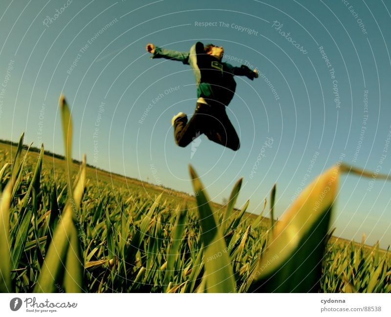Jump into the field! V Hop Spring Meadow Grass Green Style Sunset Posture Blade of grass Worm's-eye view Sunbeam Kick Martial arts Man Fellow Field Straddle