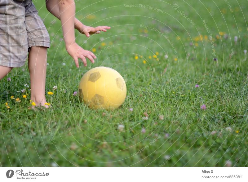 kicked off Leisure and hobbies Playing Children's game Sports Ball sports Sportsperson Soccer Foot ball Human being Boy (child) Infancy Arm Legs 1 3 - 8 years