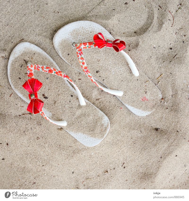 sandpiper Lifestyle Style Leisure and hobbies Vacation & Travel Summer Summer vacation Beach Sand Beautiful weather Flip-flops Bow Red Break Beige Colour photo