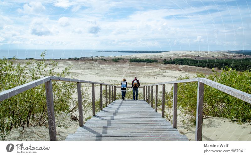 Wandering dune? Landscape Sand Bay Baltic Sea Curonian Spit Nida Lithuania Europe Tourist Attraction Nature Vacation & Travel Far-off places Colour photo