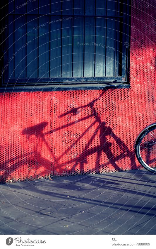 bicycles are more beautiful Beautiful weather Wall (barrier) Wall (building) Window Transport Cycling Street Lanes & trails Bicycle Grating Bicycle handlebars