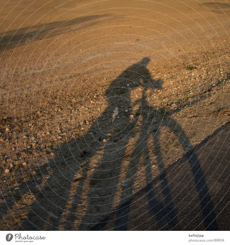 easy rider II Bicycle Self portrait Motorcyclist Field Agriculture Sunset Cycling tour Cycle path Brandenburg Mountain bike Playing Shadow Landscape