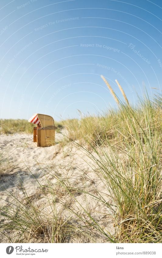 Late Summer Day. Relaxation Calm Vacation & Travel Trip Summer vacation Beach Ocean Environment Nature Landscape Sky Beautiful weather Marram grass Coast