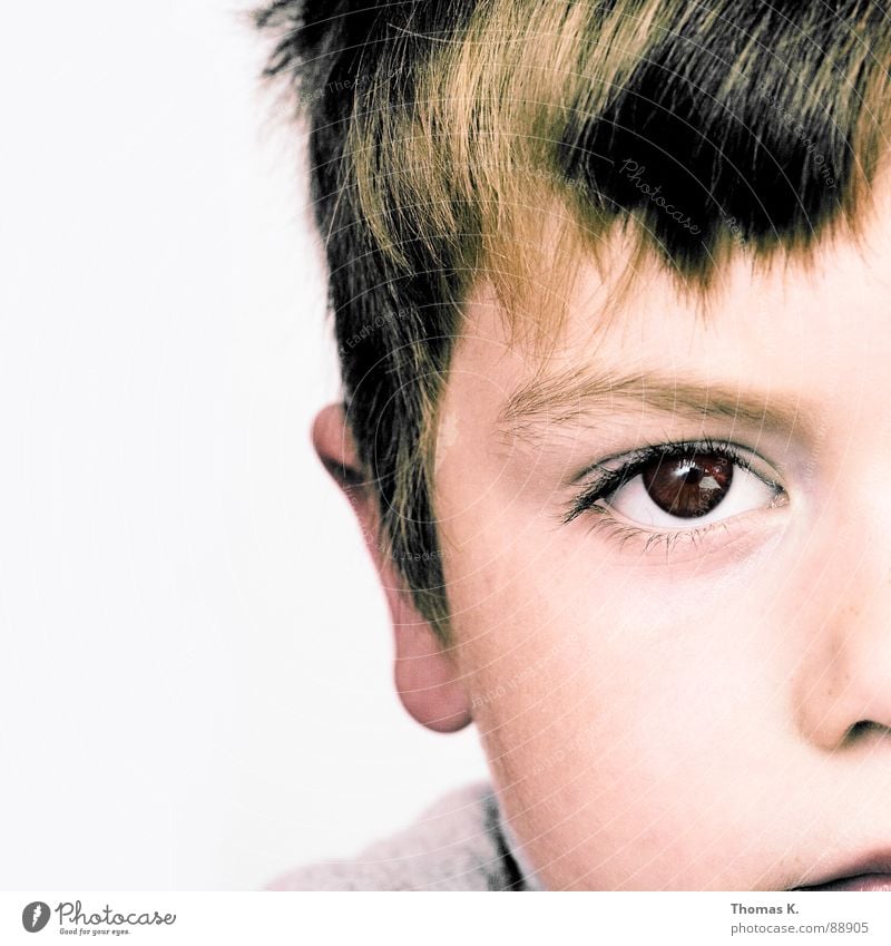 Half anyway Portrait photograph Child Calm Haircut Concentrate Eyes Ear Human being Boy (child) Nose