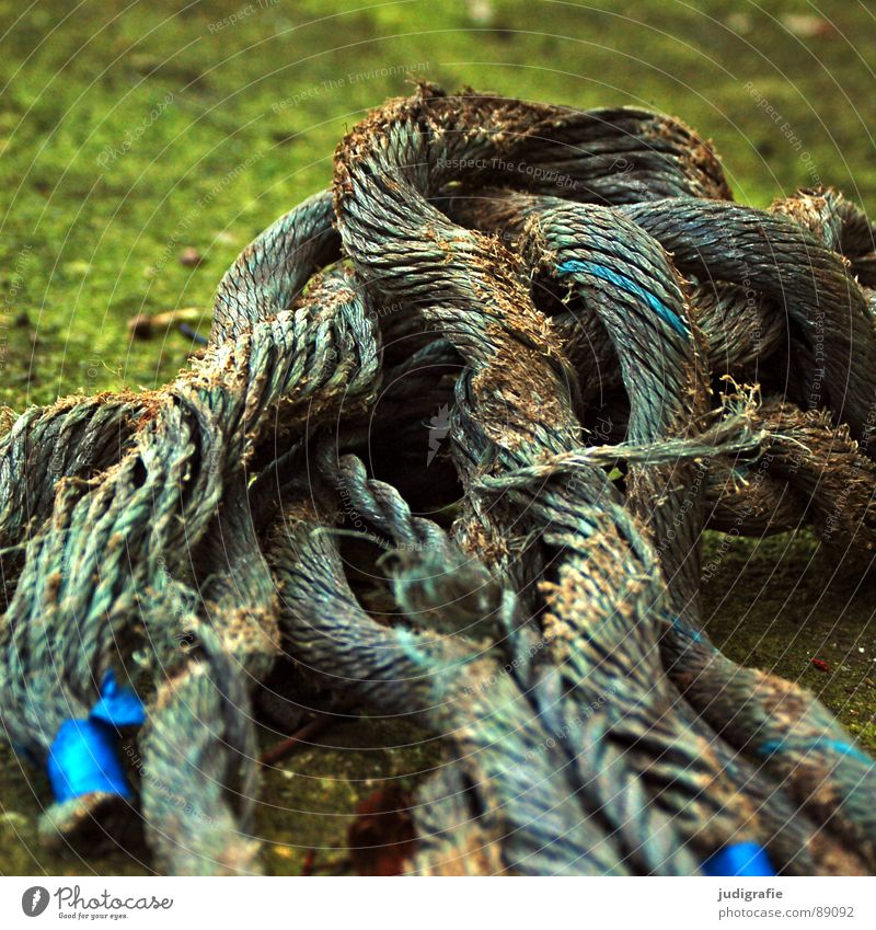 entanglements Rope Thread Plaited Integration Broken Maritime Transience Obscure Old Blue enmeshed End Watercraft Feasts & Celebrations