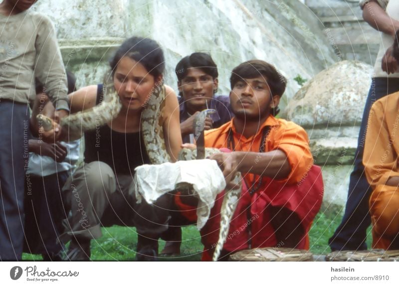 snake charming Woman India Vacation & Travel Dangerous Snake Threat domesticate sb./sth.