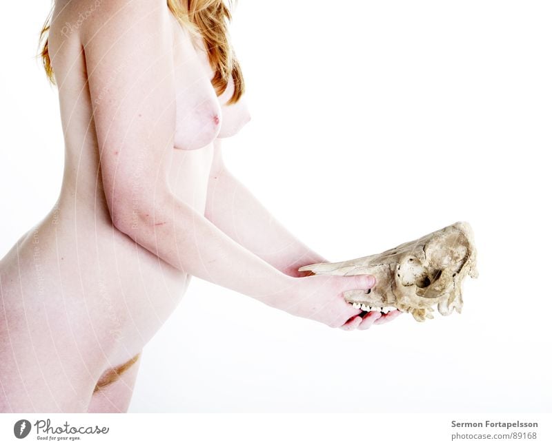 D. van der Nies 7214 Woman Naked White Light Blonde Red-haired Animal Pallid Bleached Hard Soft Feminine Nude photography Grief Distress Skin Bright Eyes Face