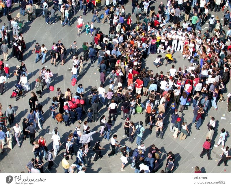 cluster of people Human being Accumulation Assembly Places Crowd of people Street
