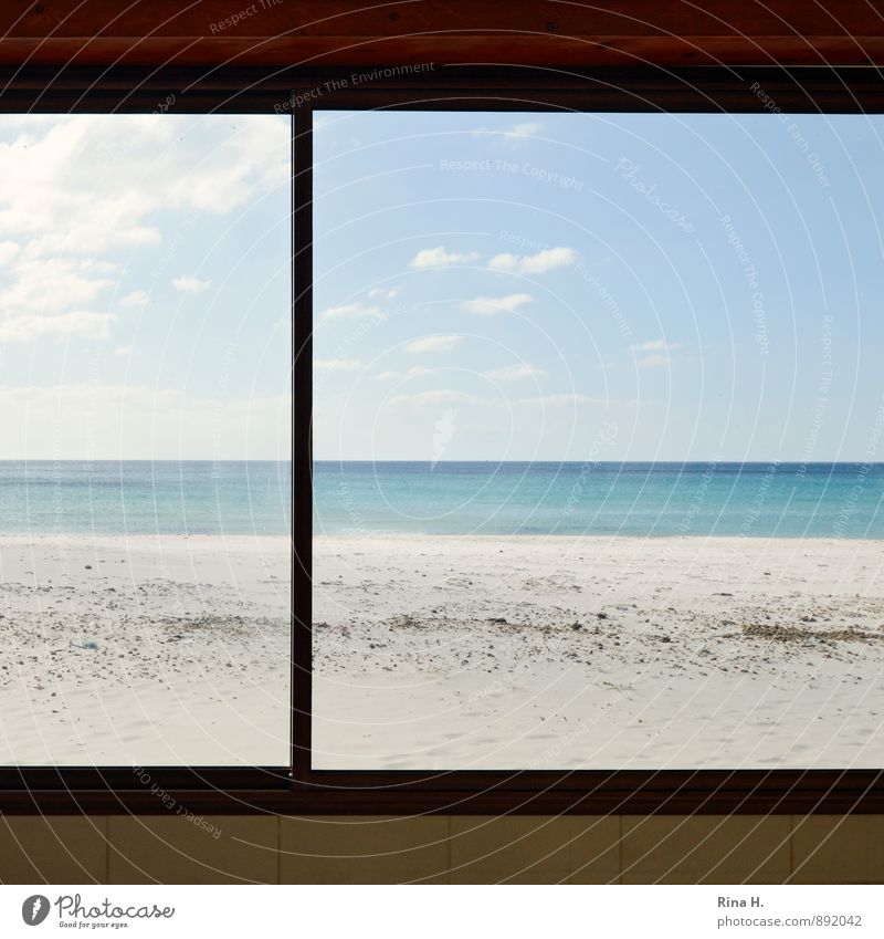 Window to the sea Sky Horizon Summer Coast Beach Ocean Wall (barrier) Wall (building) Loneliness Calm Economic crisis Colour photo Deserted Copy Space left