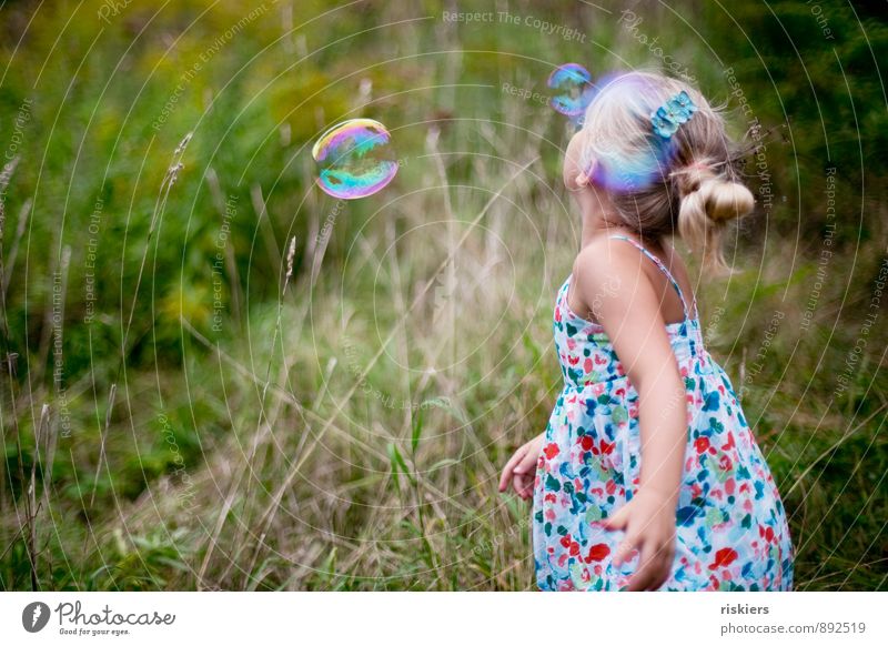 Catch soap bubbles Human being Feminine Child Girl Infancy 1 3 - 8 years Environment Nature Plant Summer Autumn Beautiful weather Garden Park Meadow Field