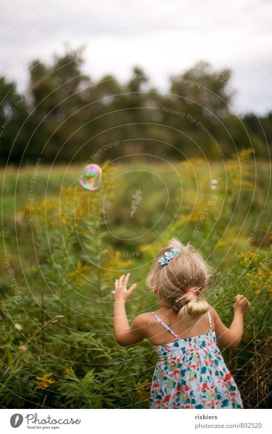 soap bubble trap Human being Feminine Child Girl Infancy 1 3 - 8 years Environment Nature Summer Beautiful weather Garden Meadow Discover Relaxation Catch